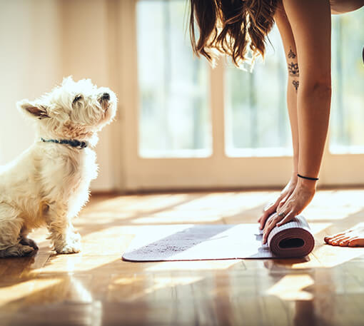 yoga for puppy