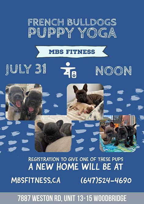 Puppy Yoga July Banner